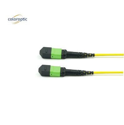 패시브 광학 단일 모드 패치 코드 MPO-12 / APC-to-MPO12 / APC
