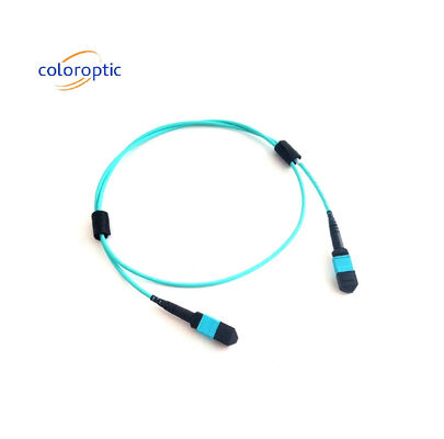 MTP (MPO) 12 FIBRE PATCH CABLE OM3 (50/125) M400 시리즈 US Conec