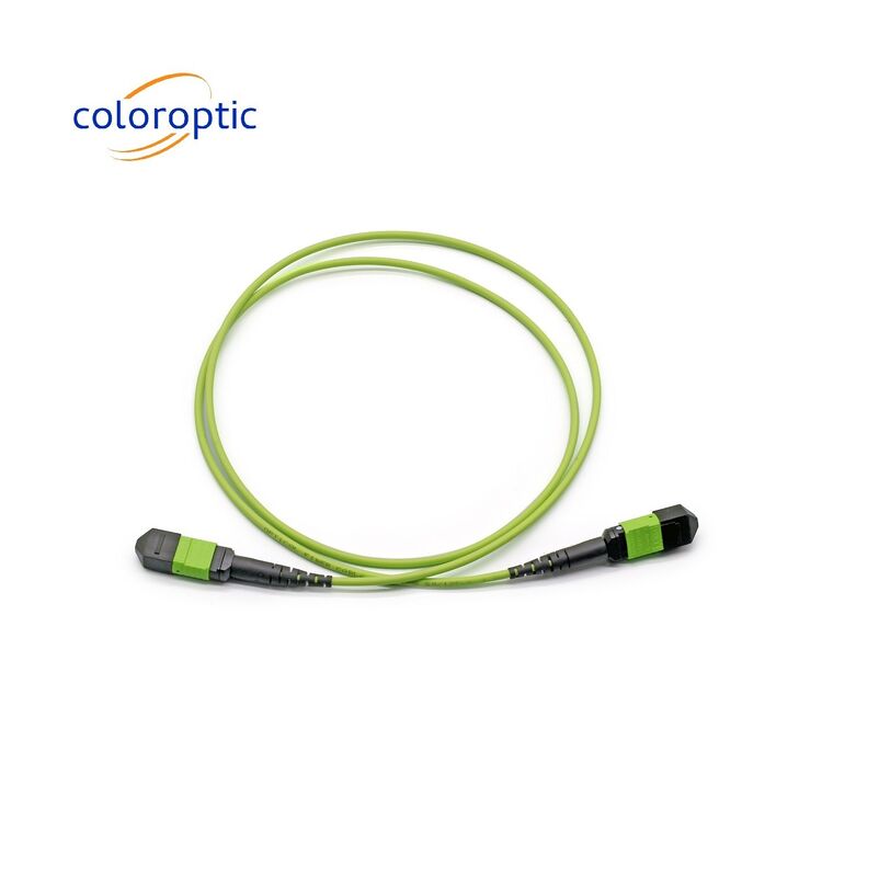 단일 모드 MTP 패치 코드 MTP 커넥터 G652D / G657A1 / G657A2 섬유