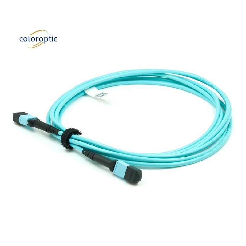 섬유 G652D OM3 MPO 패치 케이블 1m 길이 비즈니스 필요