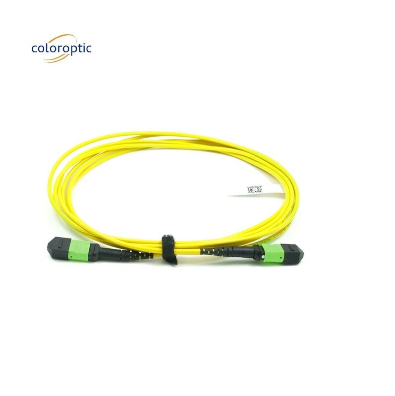 패시브 광학 단일 모드 패치 코드 MPO-12 / APC-to-MPO12 / APC