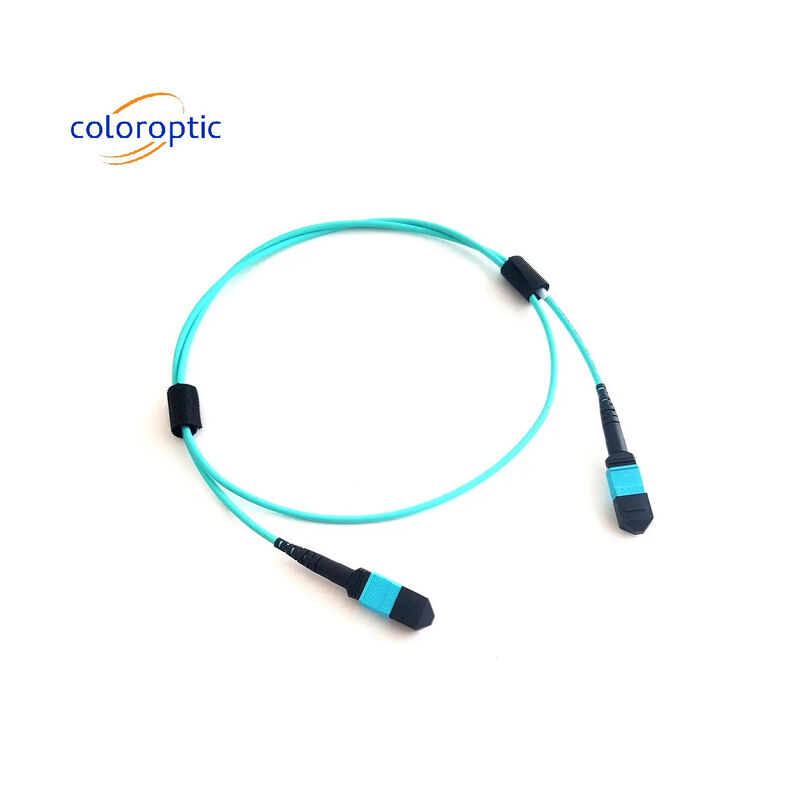 MTP (MPO) 12 FIBRE PATCH CABLE OM3 (50/125) M400 시리즈 US Conec